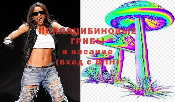 крисы Верея