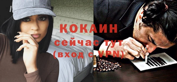 крисы Верея